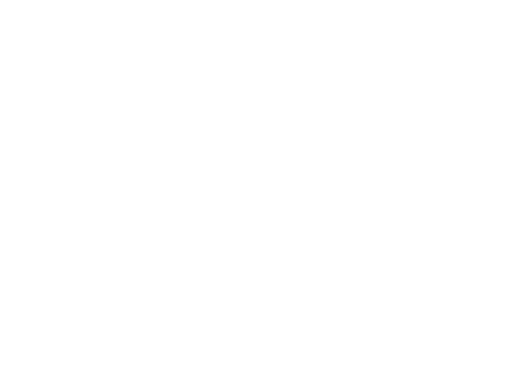 METALLAS